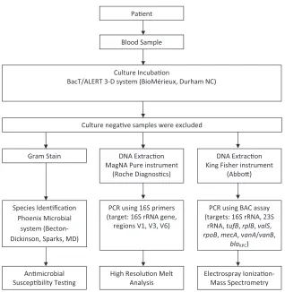 FIG 1 Reference microbiology, PCR/HRMA, and PCR/ESI-MS workﬂow.