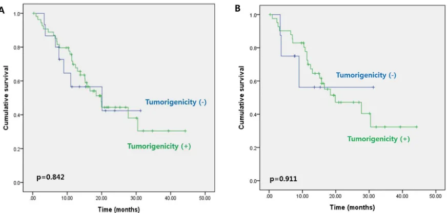 Figure 2: Three-year disease-free survival in patients with stage IV colorectal cancer according to tumorigenicity of the A