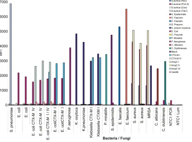 FIG 2 Speciﬁcity of sepsis VOCMA against cultured bacteria and fungi. A 22-plex VOCMA experiment on cultured strains of bacteria and fungi, with or withoutwith different colors indicating different detection probes hybridizing
