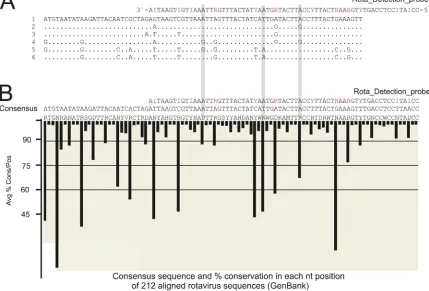 FIG 4 Variation tolerance of the rotavirus probe. Amplicons from the rotavirus-positive samples (see Fig