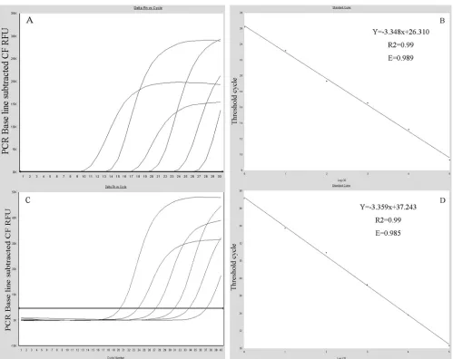 TABLE 2 Repeatability and reproducibility of the assay for selected samples containing DHAV-Ca