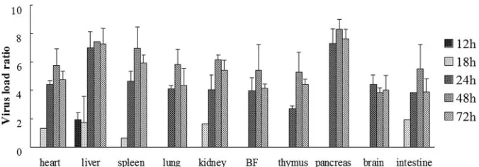 FIG 3 Virus titer of DHAV-C in the internal organs of experimentally infected ducklings