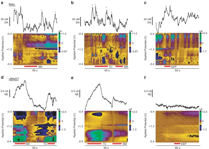 Figure 3 Somatic withdrawal signs produce variable catecholamine release in the nucleus accumbens (NAc) and ventral bed nucleus of the stria terminalis (vBNST)