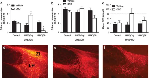 Figure 1 Results from the binge-like ethanol consumption study. Two- (a) and 4 h (b) binge-like ethanol (20%, v/v) consumption and blood ethanol concentrations (BECs; c) and examples of DIO-mcherry (Control; d), DIO-hM3D(Gq)-mcherry (hM3D(Gq); e), and  AAV