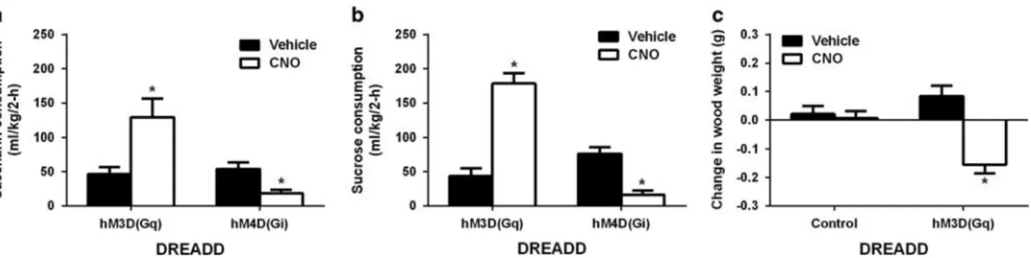 Figure 4 Results from the zona incerta (ZI) study. Two-hour 20% (v/v) ethanol consumption (a) and food intake (b), and examples of AAV8-hSyn-DIO- AAV8-hSyn-DIO-mcherry (Control; c), AAV8-hSyn-DIO-hM3D(Gq)-AAV8-hSyn-DIO-mcherry (hM3D(Gq); d), and AAV8-hSyn-