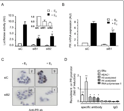 Figure 4 RhoB downregulation effect on estrogen receptor alpha-dependent transcription and recruitment of cofactors onwas calculated
