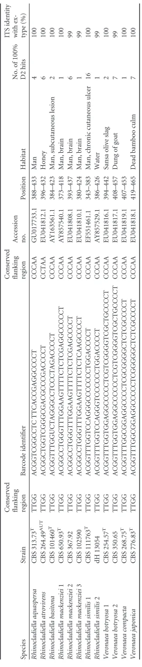 TABLE 1 (Continued)