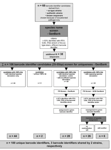 FIG 1 Determination and analysis of the barcode identiﬁers.