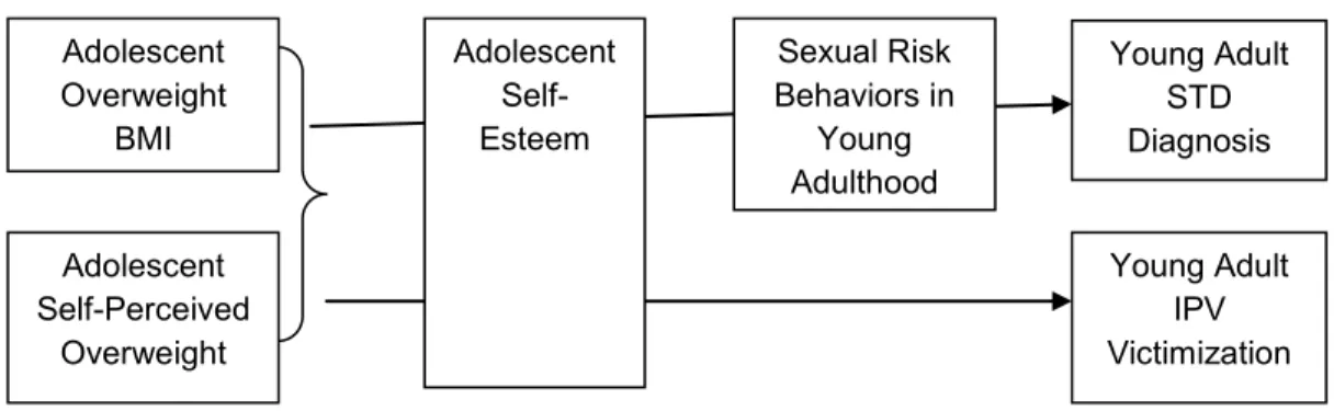 FIGURE 1: Dissertation conceptual model 