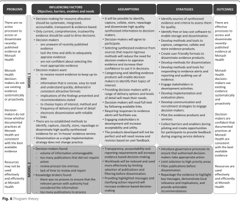 Fig. 6 Program theory