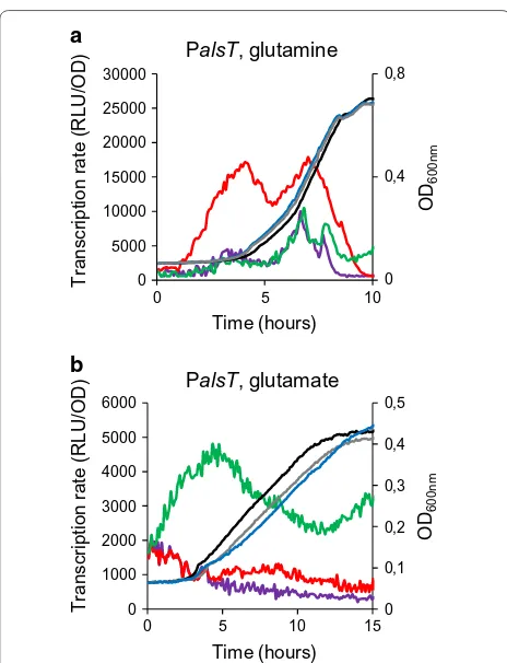 Table 3 GlnR is in complex with proteins TnrA and GltA