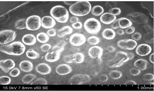Figure 2: FTIR image of melphalan spanlastics suspension 