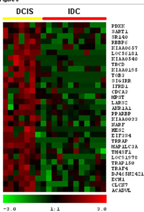 Figure 3duction events that play a role in the regulation of celldevelopment, cell proliferation, differentiation and motility
