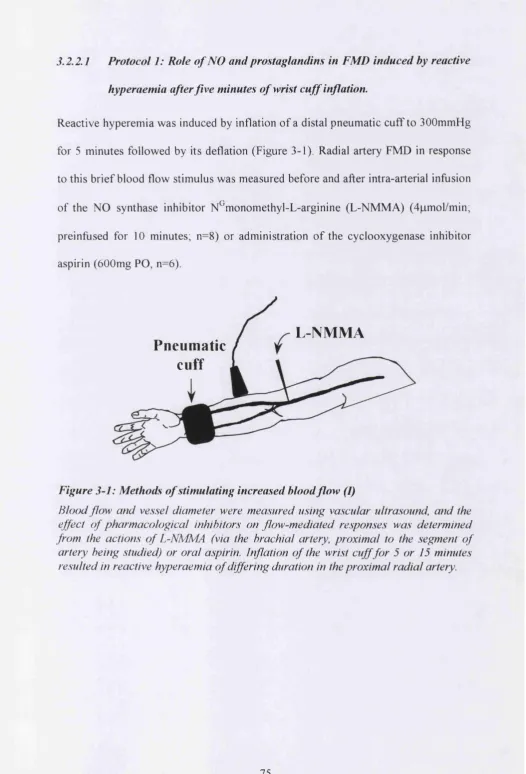 Figure 3-1: Methods of stimulating increased blood flow (I)