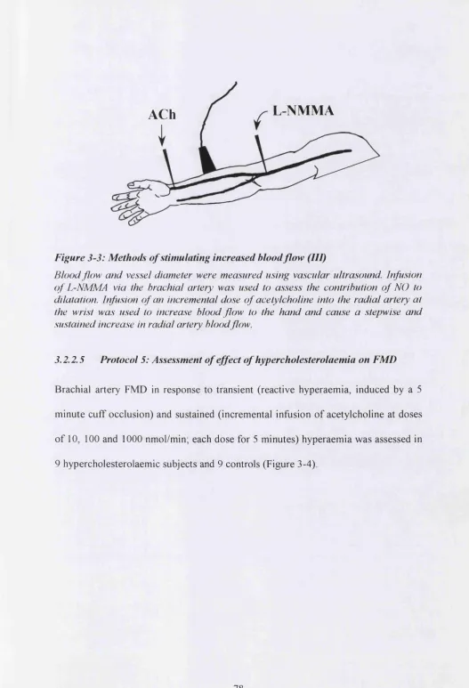 Figure 3-3: Methods of stimulating increased blood flow (III)