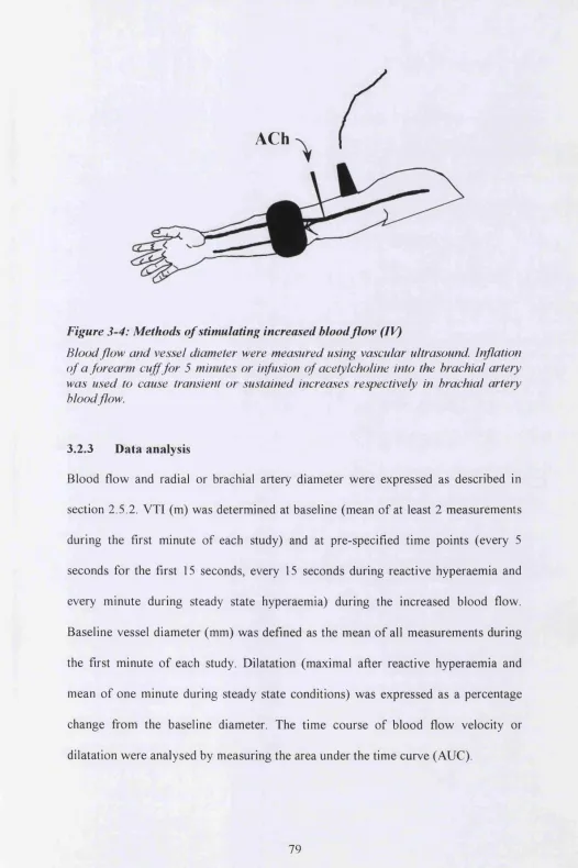 Figure 3-4: Methods of stimulating increased blood flow (IV)