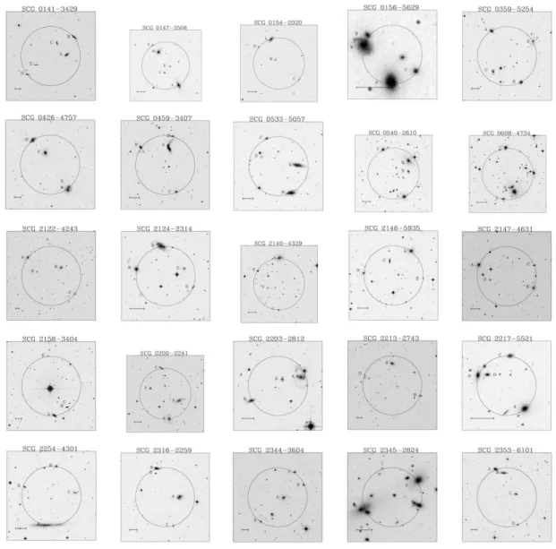 Table 2.7: Images of SCGs where all group members are observable.