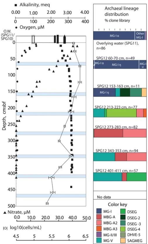 Figure 5. Depth trends in archaeal 16S rRNA clone library composition, porewater constituents, and cell  counts