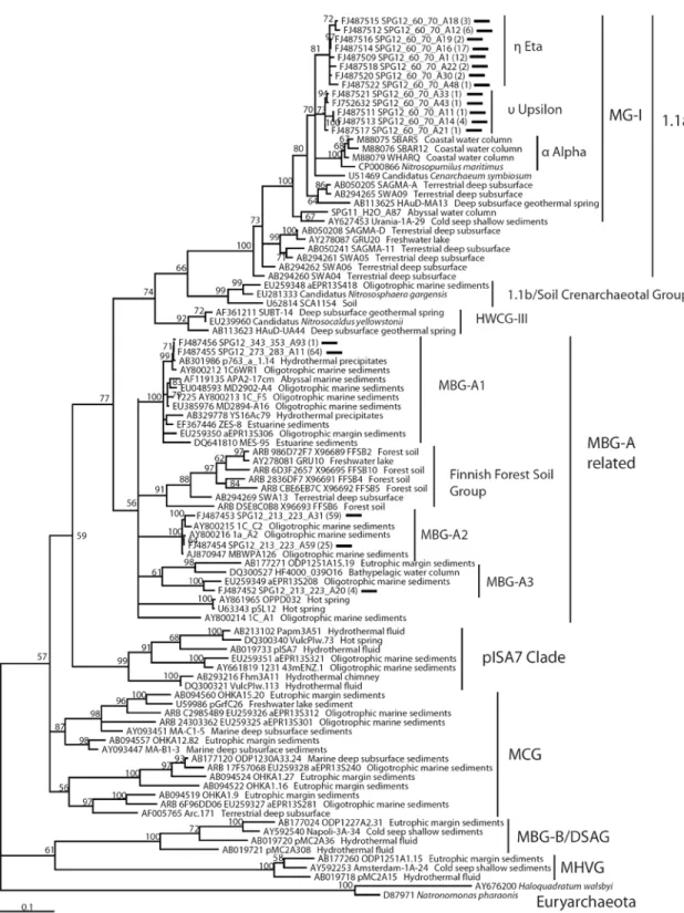 Figure 6. Maximum-Likelihood (ML)- estimated 16S rRNA gene phylogeny of Crenarchaeota, using a 701- 701-bp alignment, and 1000 iteration ML bootstrap node support