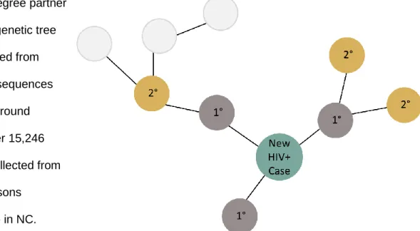 Figure 5.  Illustration of primary (1°) and secondary (2°) degree partners of  an index case in a sexual network component