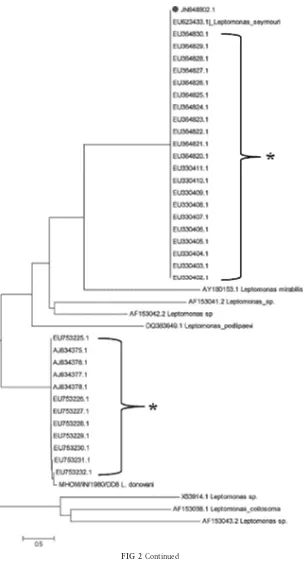 FIG 2 Continued