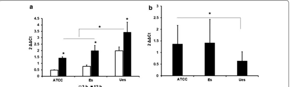 Fig. 4 Measurement of IL-1β and iNOS mRNAs expression in infected MG-63 cells. Level of IL-1β mRNA increased after 3 h and remained elicite after 12 h post infection