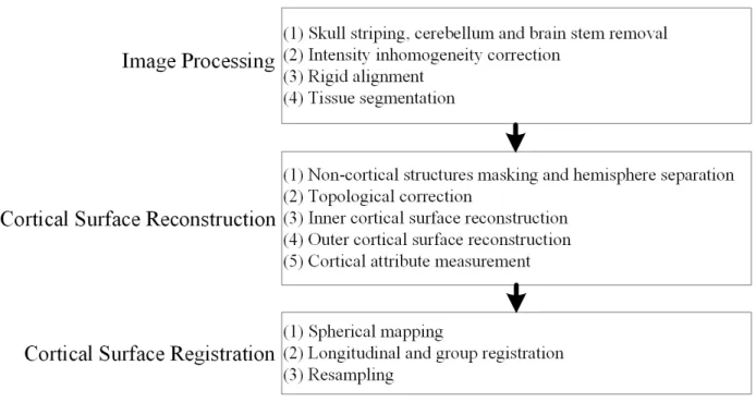 Figure 2.1. Data preprocessing pipeline. 
