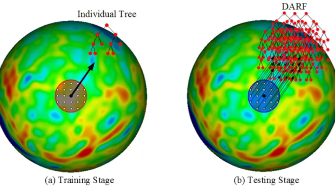 Figure 3.1. Training and testing stages for DARF. (a) The red region is the training neighborhood,  where all the vertices on the spherical space are used as training samples