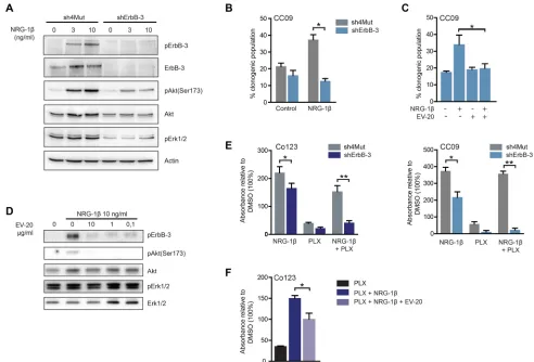 Figure 3: ErbB-3 is required for NRG-1β-dependent escape to Vemurafenib. A. Immunoblot analysis of total and phosphorylated of ErbB-3 receptor and downstream signaling pathways evaluated in CC09 cells silenced for ErbB-3 (shErbB-3) as compared to same cell