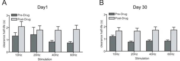 Figure 3. DA reuptake is not affected by length of abstinence