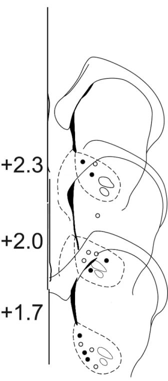 Figure 5. Histology