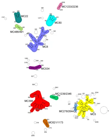 FIG 1 Minimum spanning tree produced using 206 MRSA isolates by MLVA. A categorical coefﬁcient and the priority rule using the highest number ofsingle-locus changes were used for the clustering of MLVA proﬁles