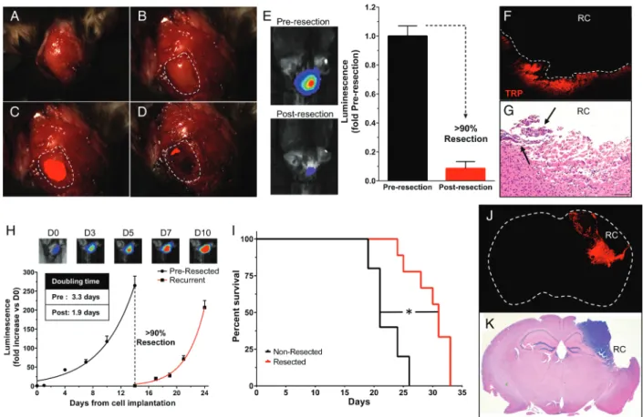 Fig. S3B). Revealing the broad applicability of this effect, astro- astro-cyte injury increased migration in established GBM mouse (GL261) and human (U251 and U87) cell lines in vitro (Fig