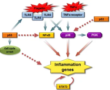 Table 3: Synergistic genes are over-represented in patients responsive to chemotherapy