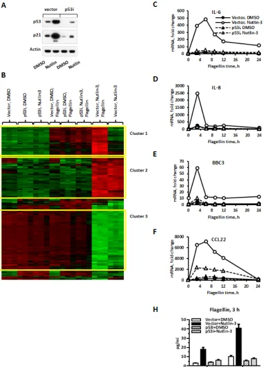Figure 1: TLR5-mediated gene expression is greatly facilitated by p53 induction in MCF7 cells