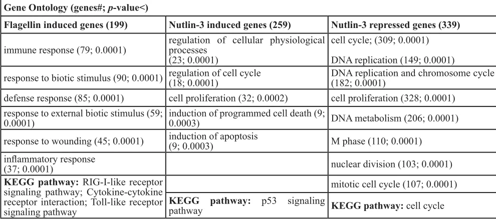 Table 1: Gene Ontology (GO) for genes with expression altered by Nutlin-3 or by flagellin