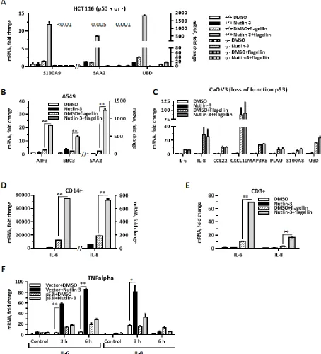 Figure 2: p53 enhances ligand-dependent expression of inflammation genes in several cell types