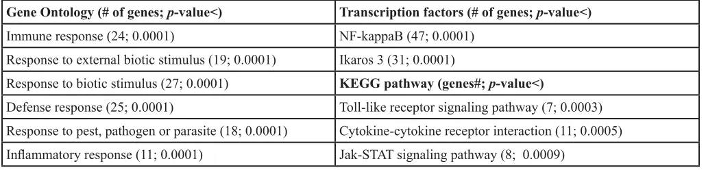 Table 2: Gene annotations for Synergistic Targets
