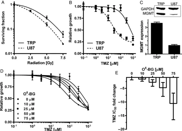 Fig. 5. TRP astrocytes are sensitive to XRT but resistant to TMZ due to MGMT. TRP astrocytes and U87 cells were sensitive to XRT (P ¼ .26) (A)