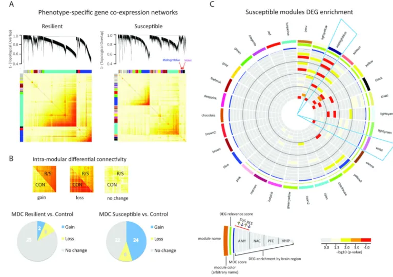 Figure 3. Identification of Resilient- and Susceptible-Specific Coexpression Networks and Key  Modules