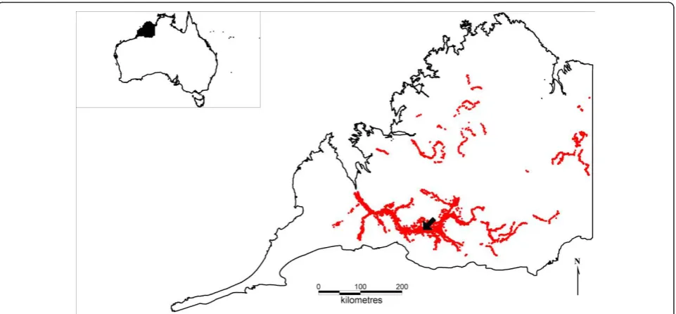 Figure 1 Feral pig distribution in the Kimberley. The red dots represent simulated pig herds within known wild pig distributions