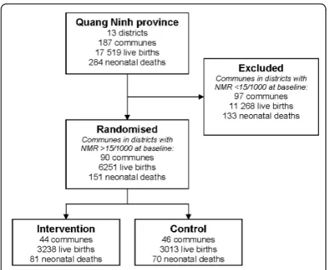 Figure 2 Participant flow in NeoKIP trial