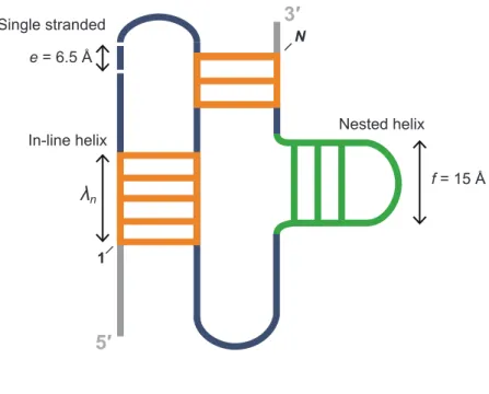 Figure 2.1:  Overview of pseudoknot structure model and entropic penalty terms.   