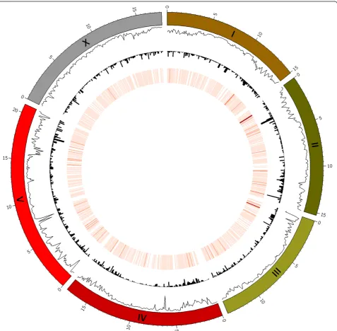 Figure 1 Distribution of SNVs, insertions, and deletions along the C. elegans genome for Hawaiian isolate CB4856