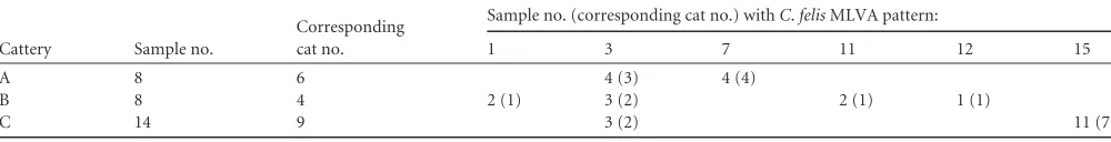 TABLE 3 MLVA patterns of C. felis strain samples from three Italian catteries where conjunctivitis was reporteda