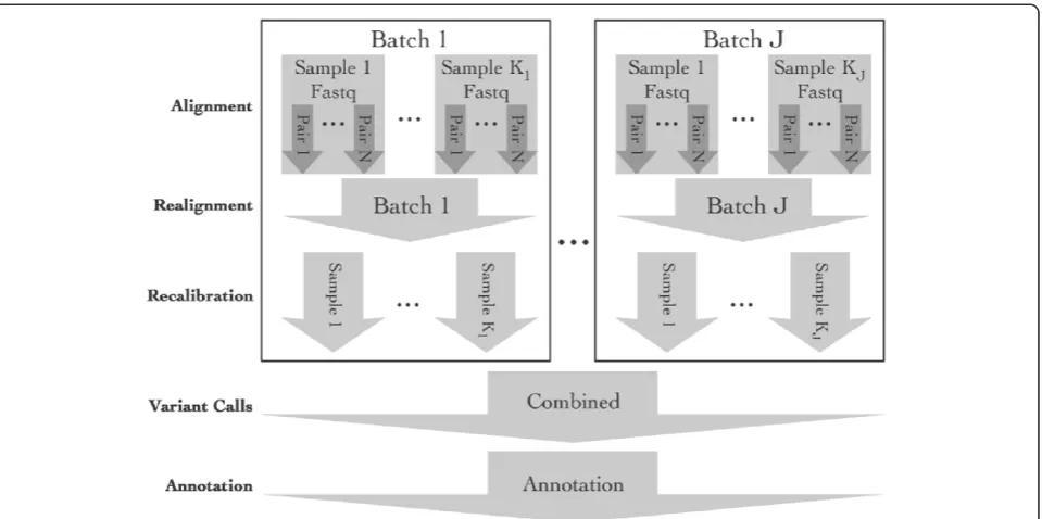 Figure 1 Diagram of the major steps of ASAP. All the steps are optional and the grouping of samples is flexible.
