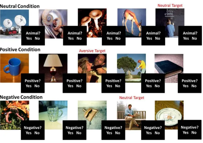 Figure 3.1. Emotional Oddball Framing Paradigm 