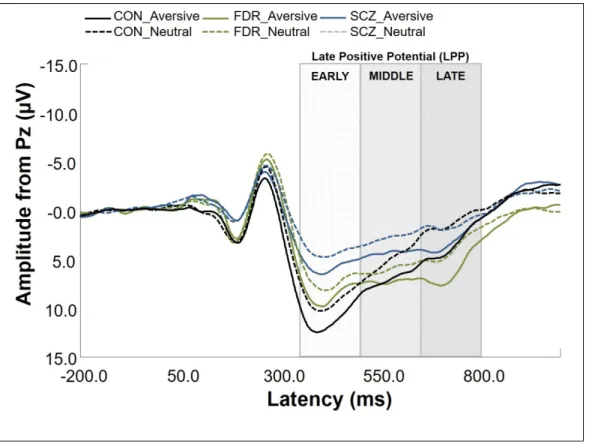 Figure 2.2. Late Positive Potential (LPP) Underlying Motivated Attention and Salience Processing 