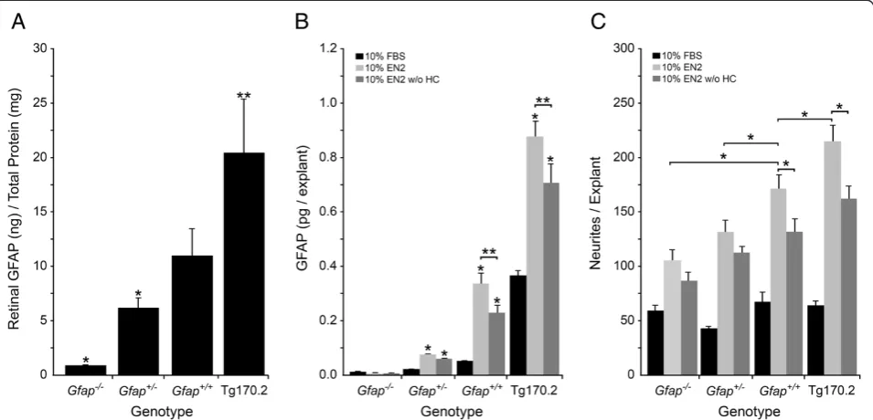 Figure 2 GFAP levels are positively associated with neurite outgrowth under growth stimulatory conditions.days with either 10% FBS, 10% EN2, or 10% EN2 w/o HC, and (with 10% FBS, 10% EN2, or 10% EN2-HC