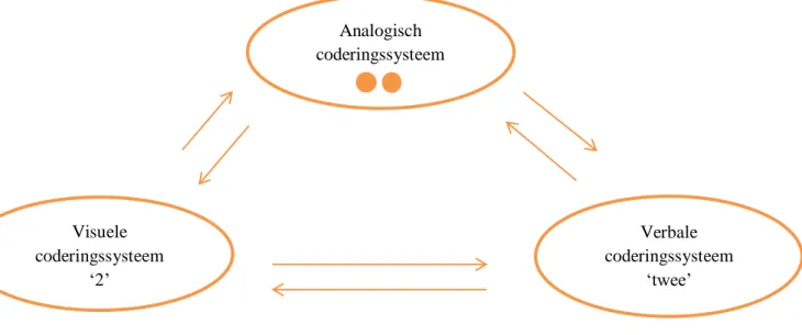 Figuur 1. Het Triple Code Model (Dehaene, 2001)  